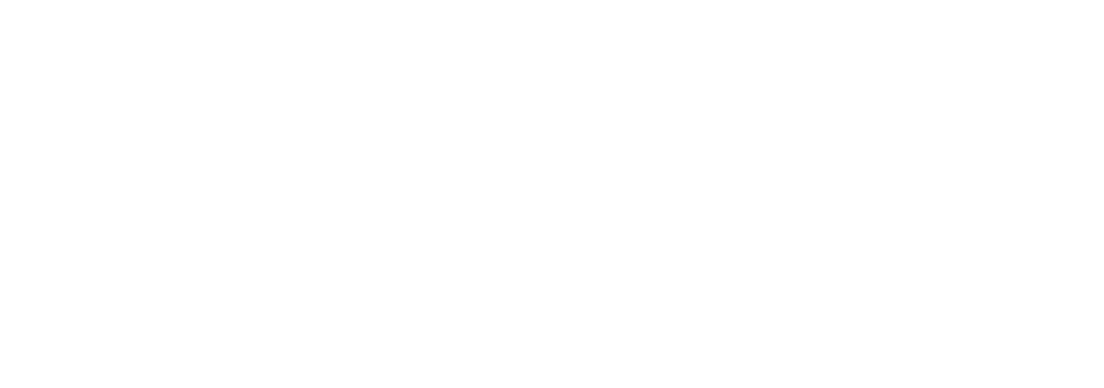 Kookpunt