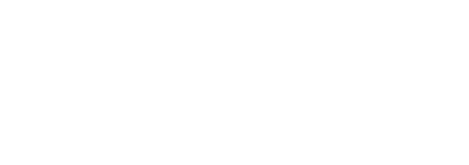 Kookpunt